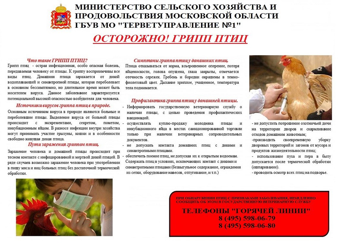 https://odinnews.ru/uploads/blw/blwoqwkvp9f51eghwldw95bzkwhsqmis.jpg