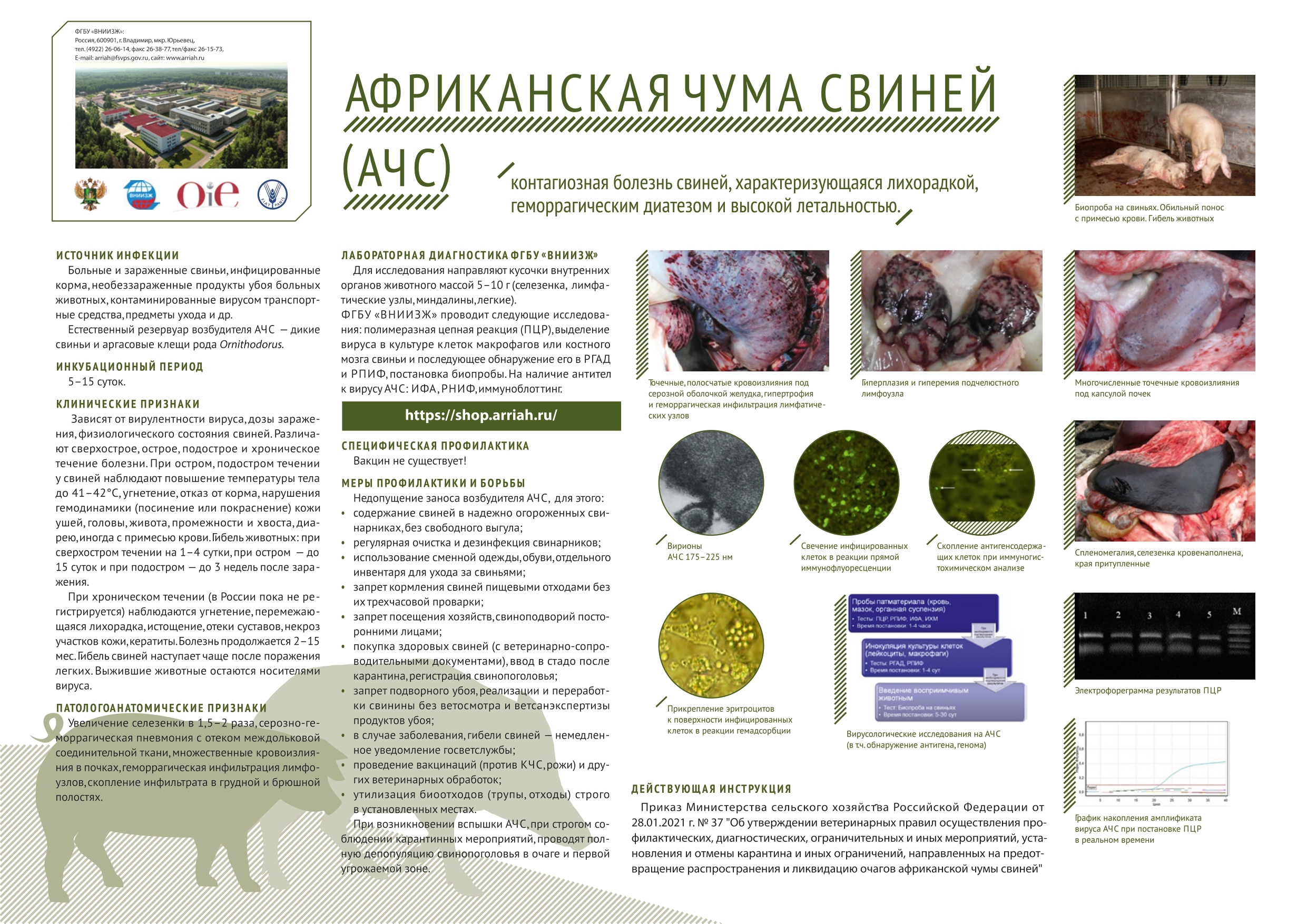 https://odinnews.ru/uploads/gxo/gxo7xz6wcxiipxiehyuzxhhwg0505iqn.jpg