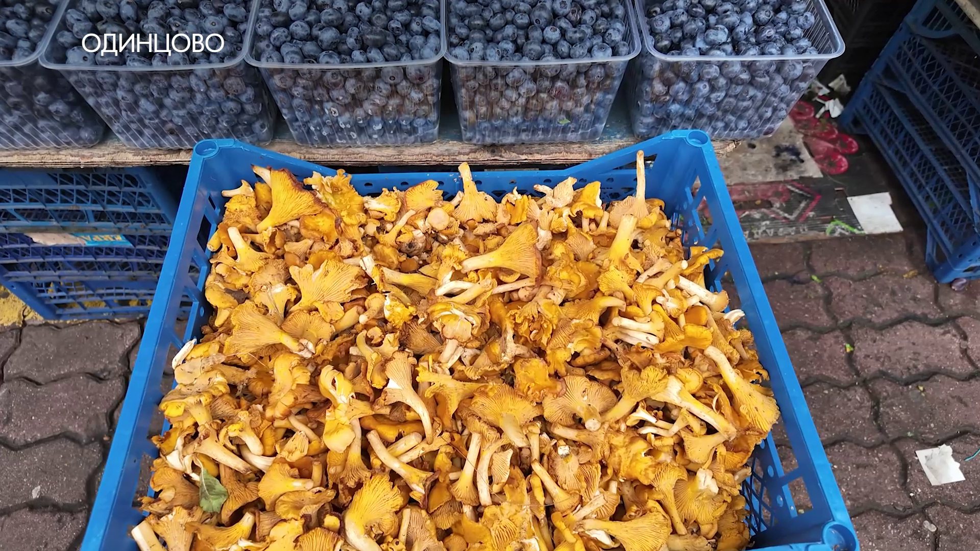 Грибной бум