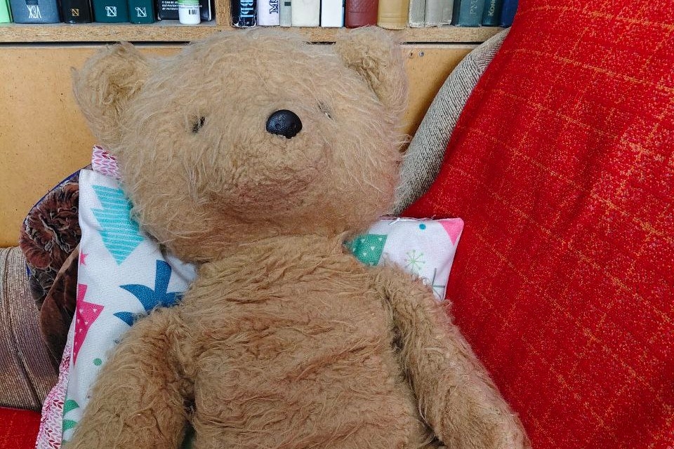 Сквозь годы по плюшевому компасу