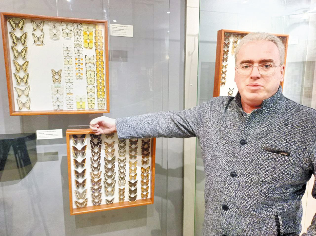 Эффект бабочки, коллекция природной красоты