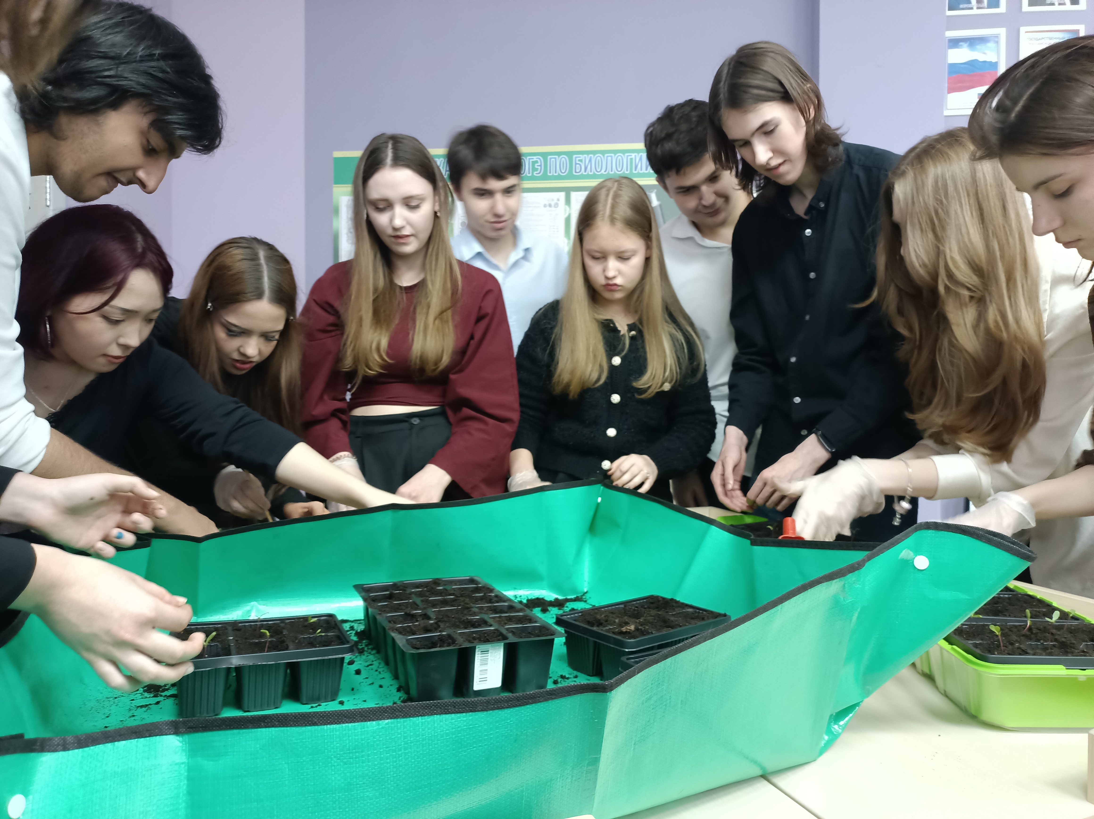 Одинцовские школьники готовят цветы для городской клумбы