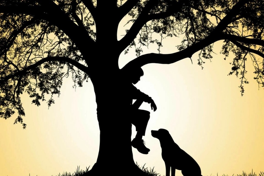 В Одинцовском округе школьник пострадал, упав с дерева во время свидания