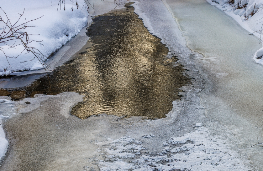Уровень воды на реках в Одинцовском округе за сутки практически не вырос