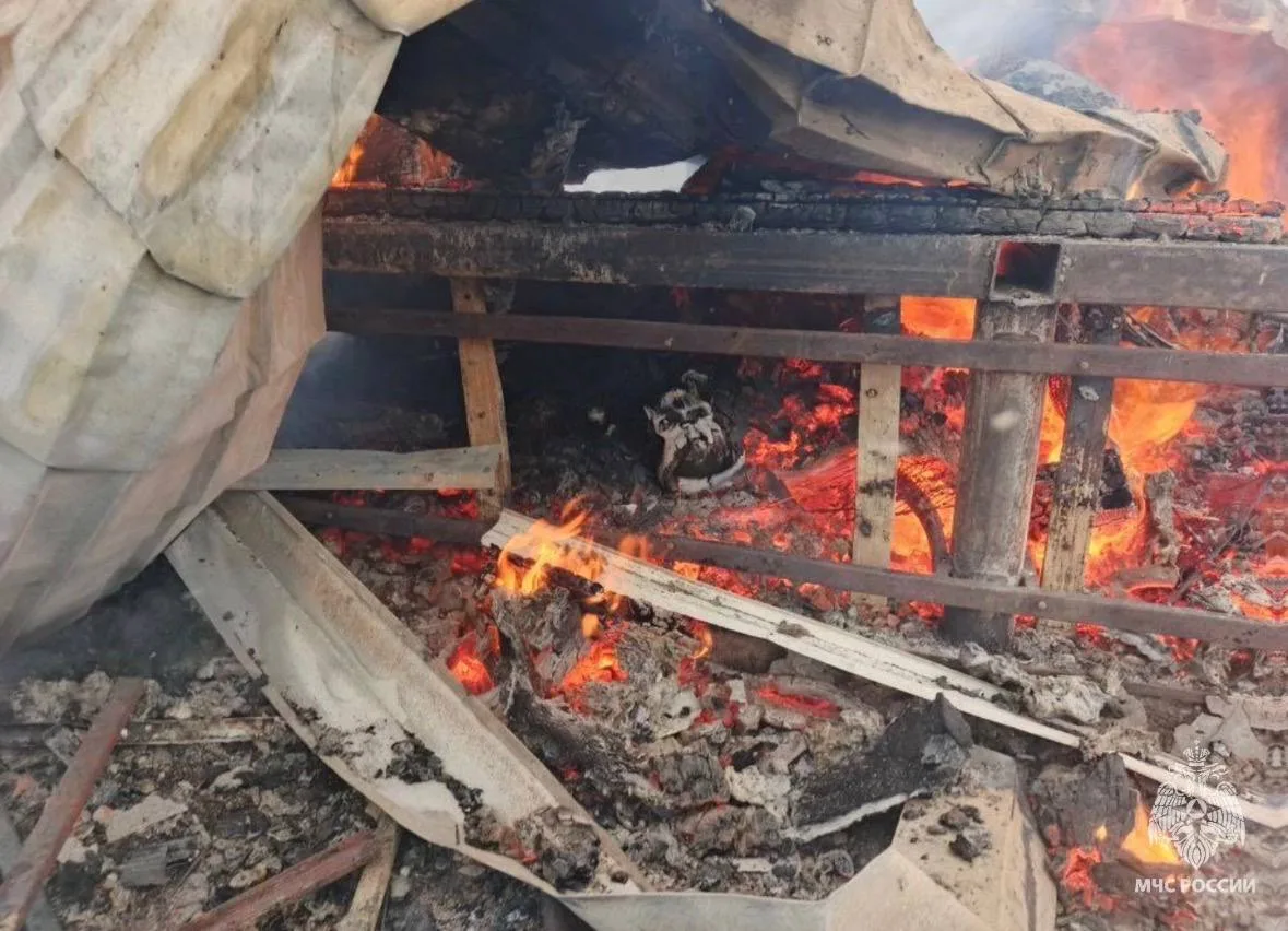 Пожарная сводка Одинцовского округа: погибшие и покалеченные из сгоревших домов