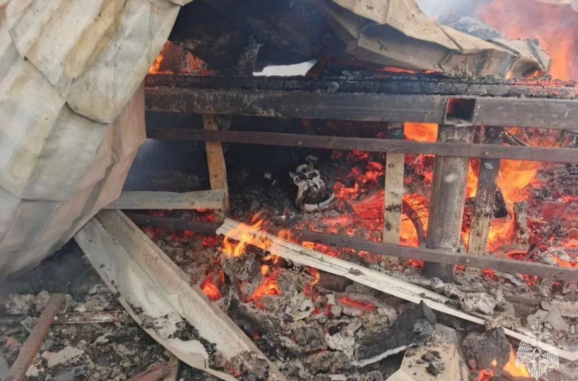 Пожарная статистика Одинцовского округа: 10 возгораний за неделю, трое пострадавших