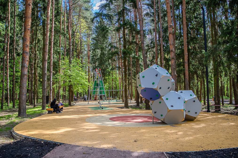 Лесопарк Супонево в Одинцовском округе планируют открыть к концу лета