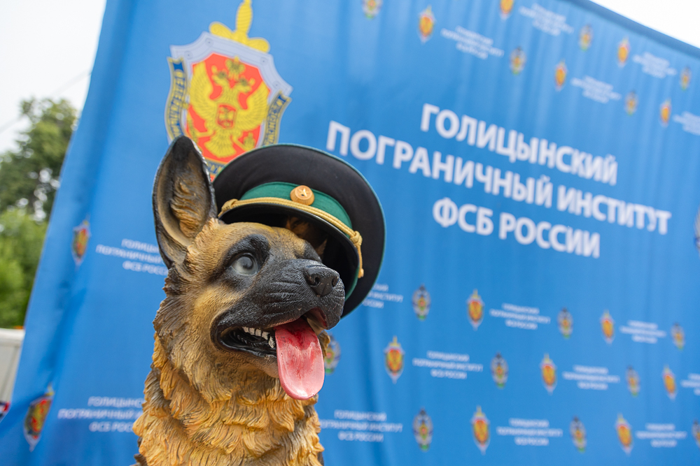 День зелёной фуражки в Голицыно