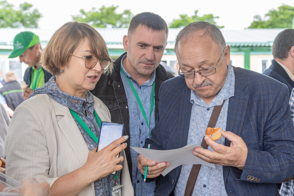 День поля Федерального исследовательского центра «Немчиновка»